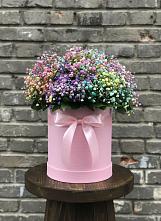 Цветочная композиция из Гипсофила и Розы в шляпной коробке в Полярных Зорях