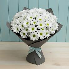 Букет цветов из:  Хризантемы в Полярных Зорях