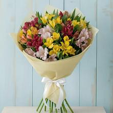 Букет цветов из:  Альстромерии #REPLACE_PRED# Полярных Зорях