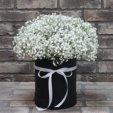 Цветочная композиция из Гипсофила в шляпной коробке #REPLACE_PRED# Полярных Зорях