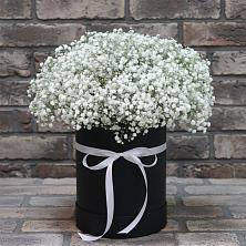 Цветочная композиция из Гипсофила в шляпной коробке в Полярных Зорях