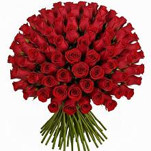 Букет Красные розы Чери Лав #REPLACE_PRED# Полярных Зорях