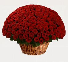 Премиум букет из: Розы #REPLACE_PRED# Полярных Зорях