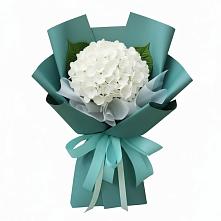 Букет цветов из:  Гортензия #REPLACE_PRED# Полярных Зорях